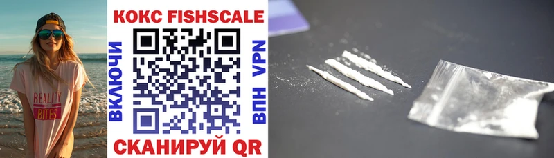 купить Ленинградская Cocaine Fish Scale