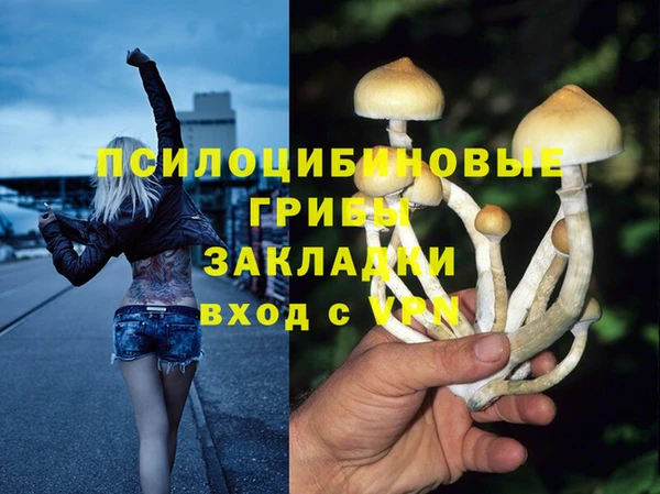 гидра Абинск