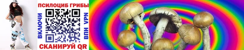 как найти закладки Ленинградская ссылка на мегу tor Галлюциногенные грибы Magic Shrooms